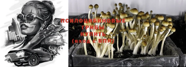мяу мяу мука Карпинск